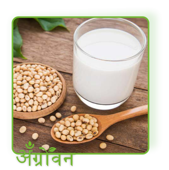 सोयाबीन मिल्क व उत्पादने soybean milk production
